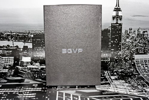 BGVP VG4 05_resize.jpg