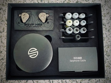 BGVP NE5 Box Contents